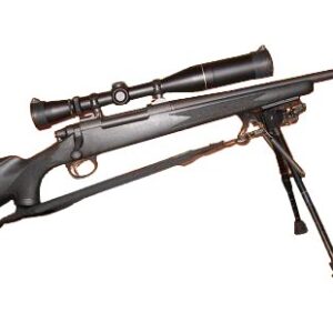 Remington 700 – .300 Winchester Magnum