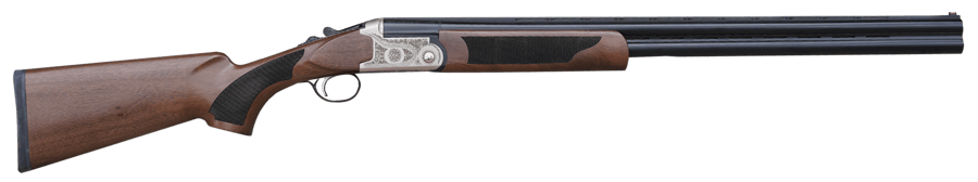 Pointer Acrius
