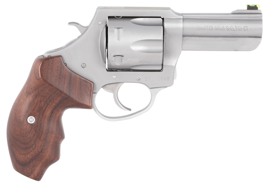 CHARTER ARMS PROFESSIONAL V