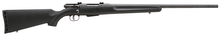 SAVAGE ARMS 25 WALKING VARMINTER 204 RUGER