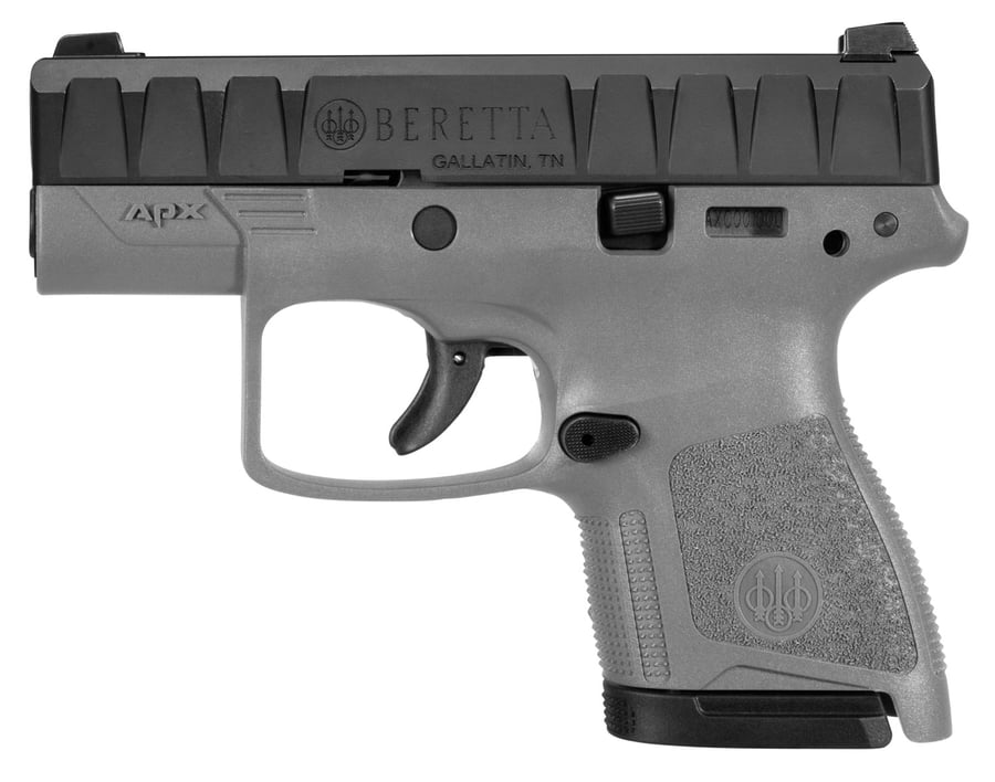 BERETTA USA APX Carry