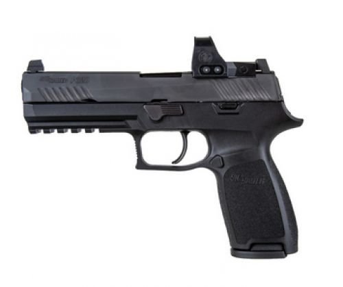 Sig Sauer P-320 RXP LE