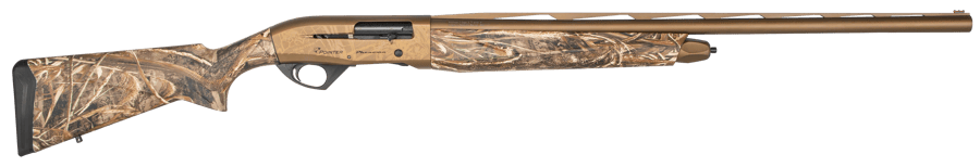 Pointer Phenoma