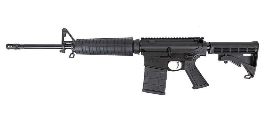 DPMS DP10