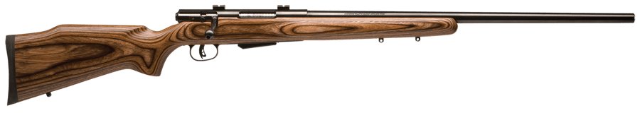 SAVAGE ARMS 25 LIGHTWEIGHT VARMINT
