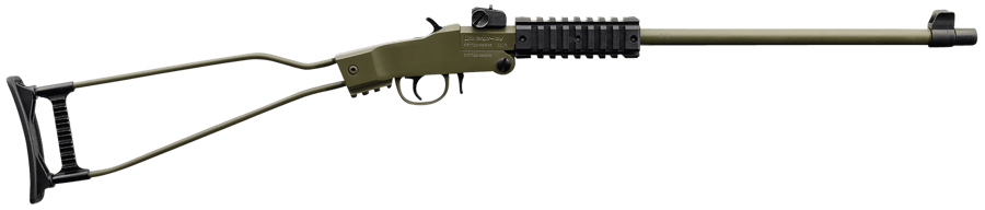 CHIAPPA FIREARMS LITTLE BADGER