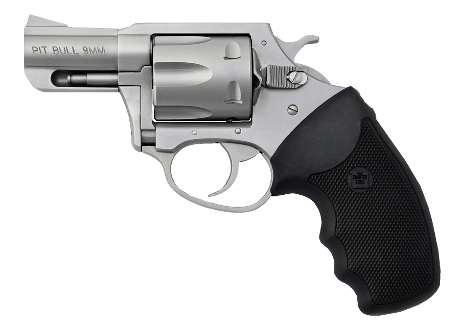 CHARTER ARMS PITBULL RIMLESS REVOLVER