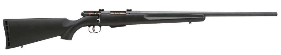 SAVAGE ARMS 25