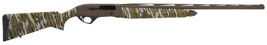 POINTER PHENOMA
