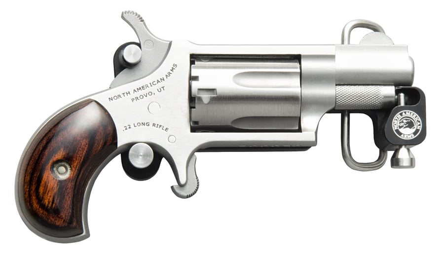 NAA 22 LR MINI WITH BELT BUCKLE