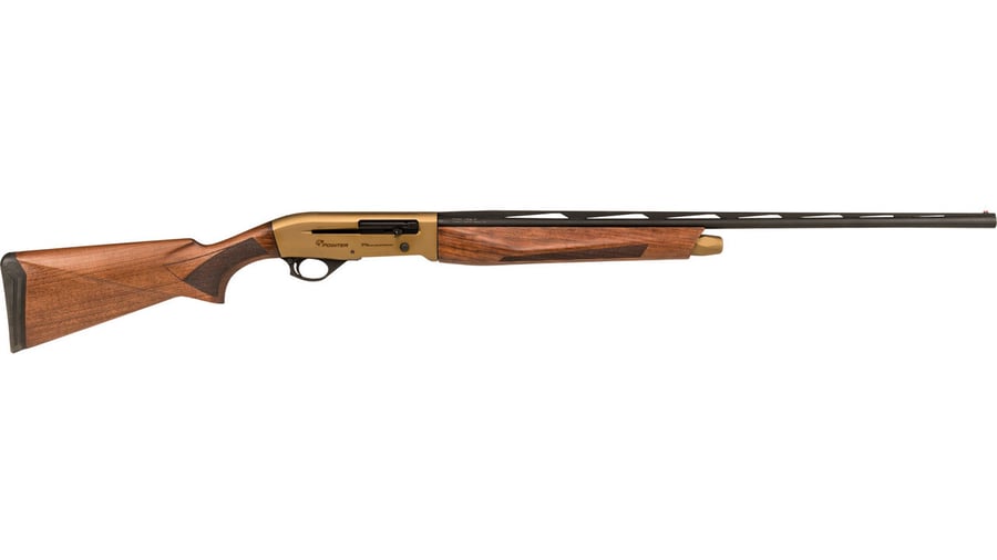 LEGACY SPORTS INTERNATIONAL POINTER PHENOMA