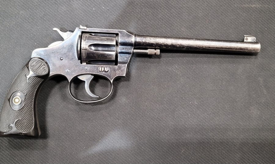 COLT POLICE POSITIVE