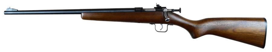 Crickett Chipmunk