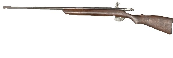 SAVAGE ARMS 4