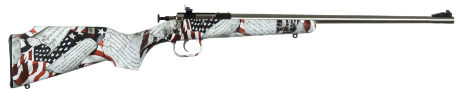 Crickett Amendment .22