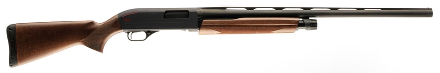 WINCHESTER SXP