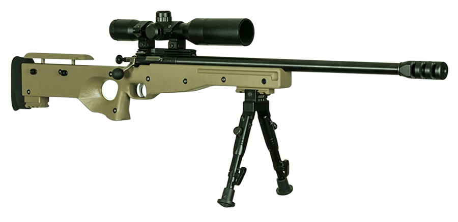 Crickett Precision Complete Package
