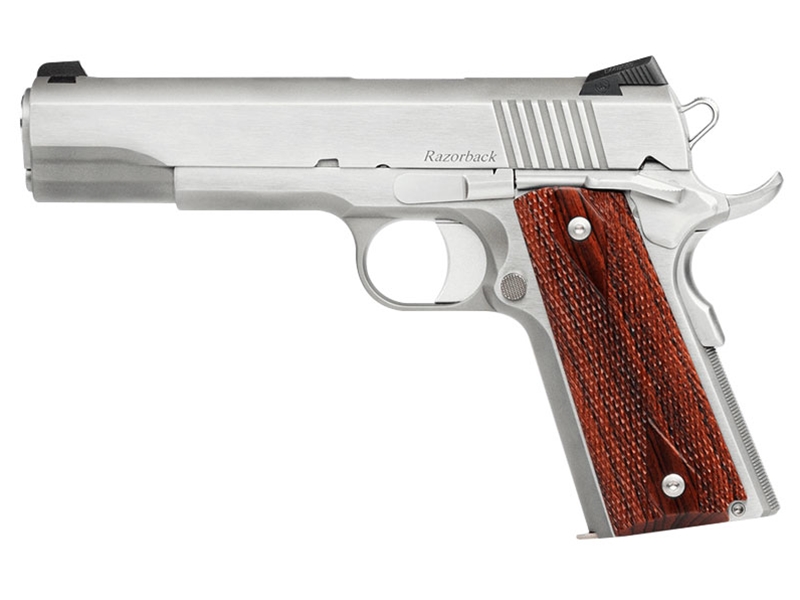 Dan Wesson RZ-10 Razorback 10mm 5' Stainless Pistol
