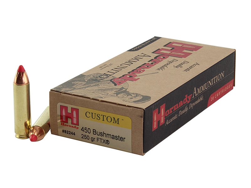 Hornady Custom .450 Bushmaster 250gr FTX 20rd