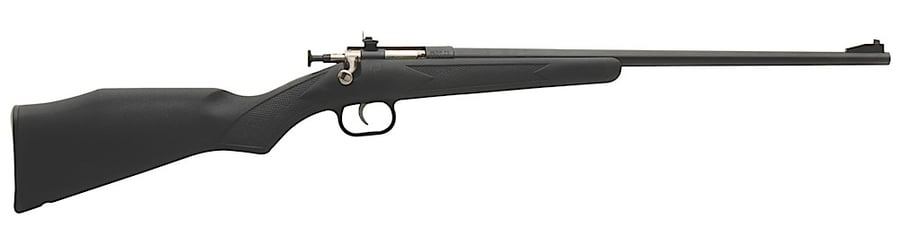 Keystone Crickett Rifle