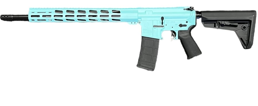 RUGER AR-556