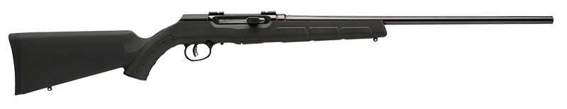 SAVAGE ARMS A17 HM2