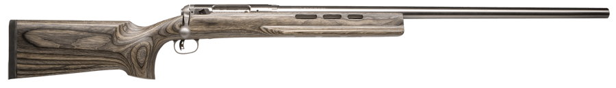 SAVAGE ARMS 12